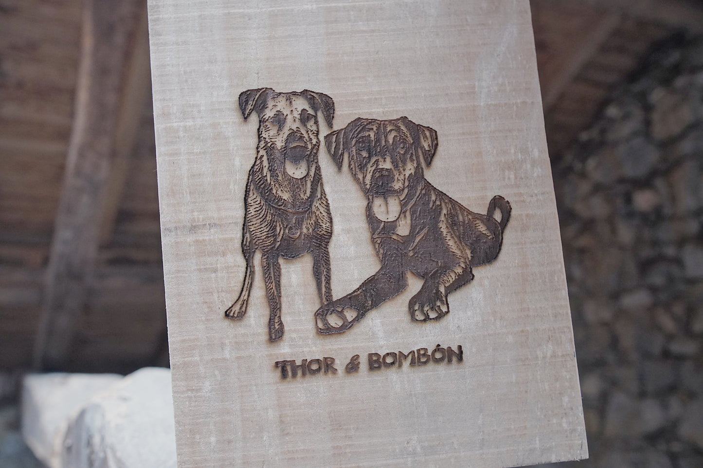 Placa mascota 🐶