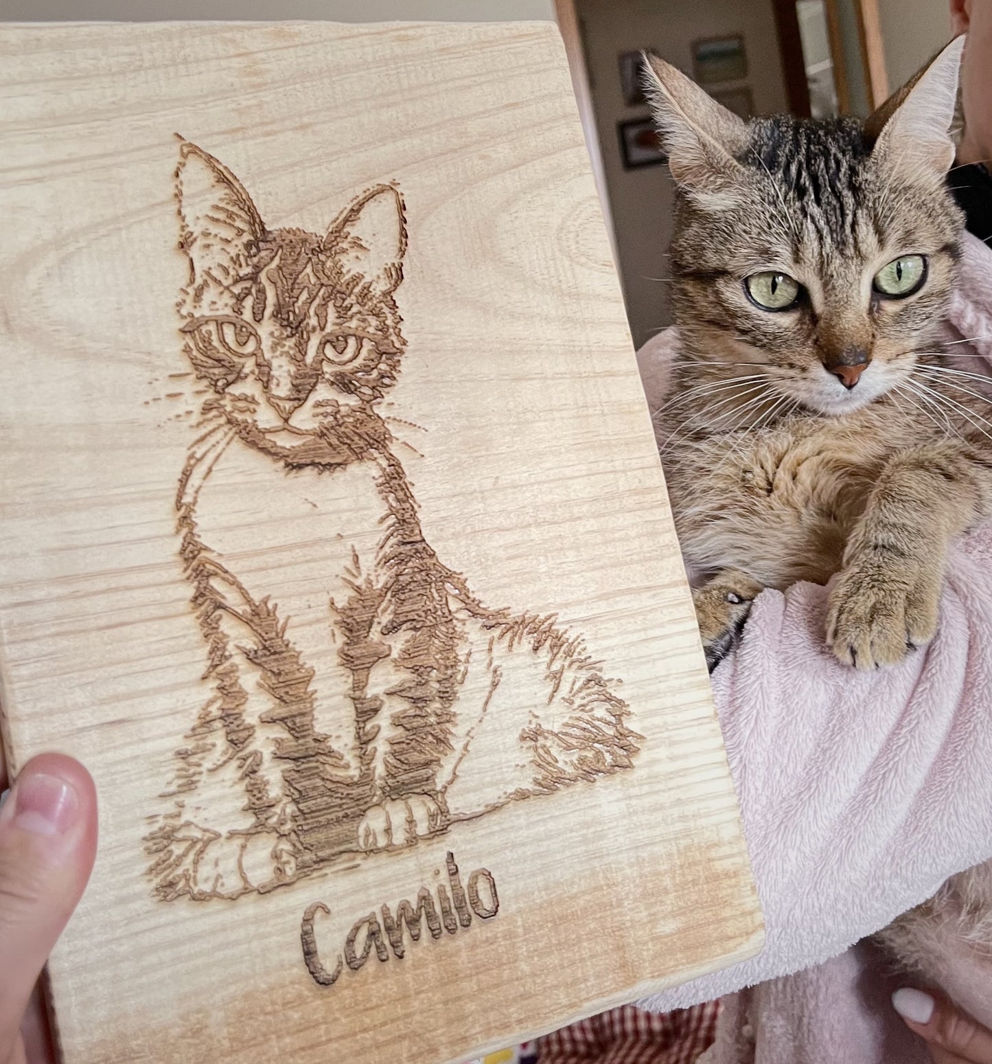 Placa mascota 🐶